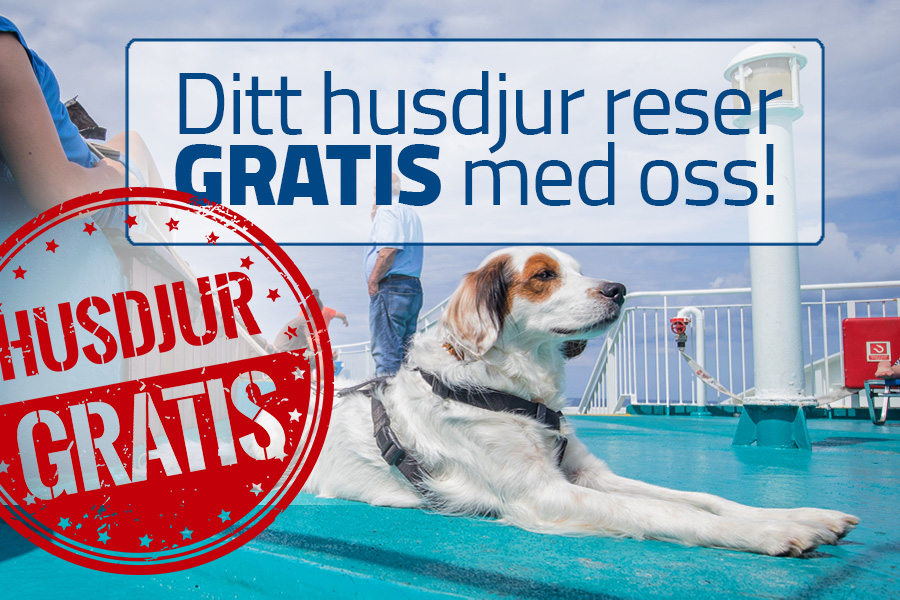 Ditt husdjur reser GRATIS med oss!